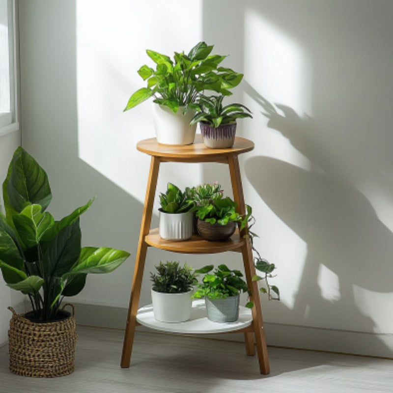 Tiered Plant Stand 500mm Wide in Solid Ash